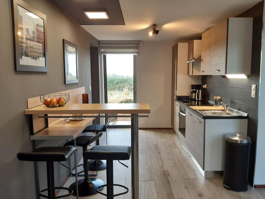 Logement 80 M2 Avec Terrasses Entre Les Deux Abers Landeda Exterior photo
